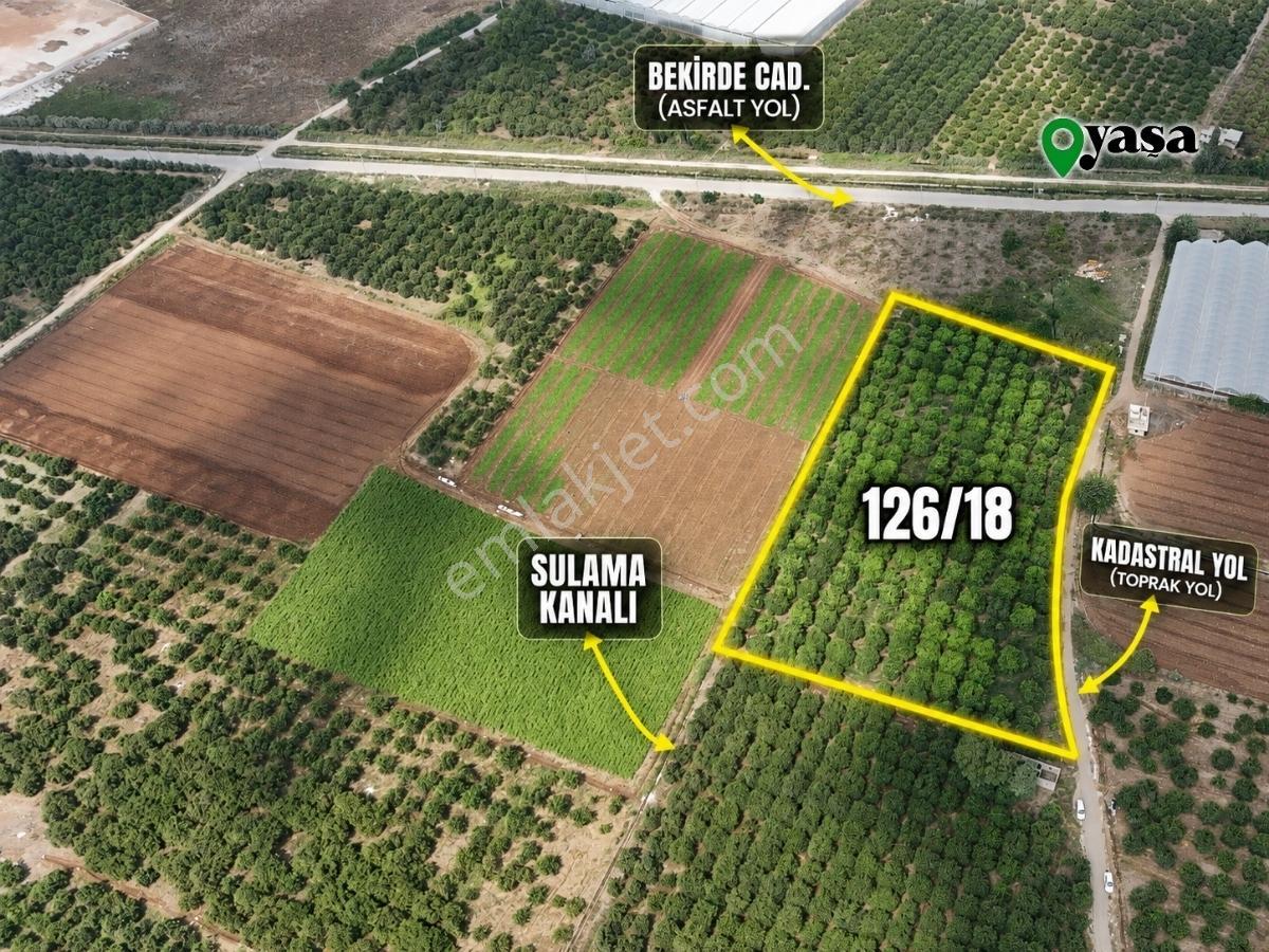 Yaşa Gyd - Bekirdede 10.763 M² Narenciye Bahçesi Lojistik Bölge