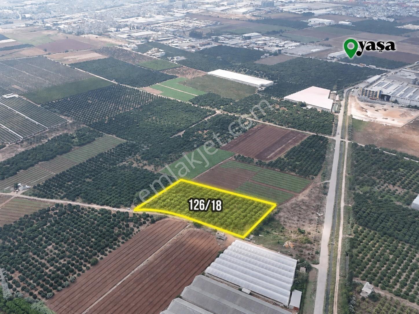Yaşa Gyd - Bekirdede 10.763 M² Narenciye Bahçesi Lojistik Bölge — fotoğraf 2
