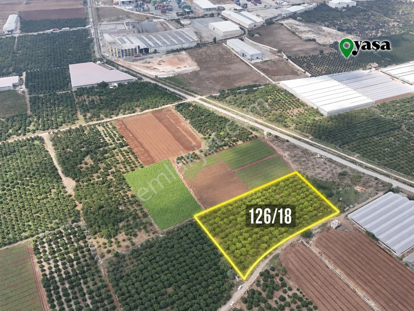 Yaşa Gyd - Bekirdede 10.763 M² Narenciye Bahçesi Lojistik Bölge — fotoğraf 3