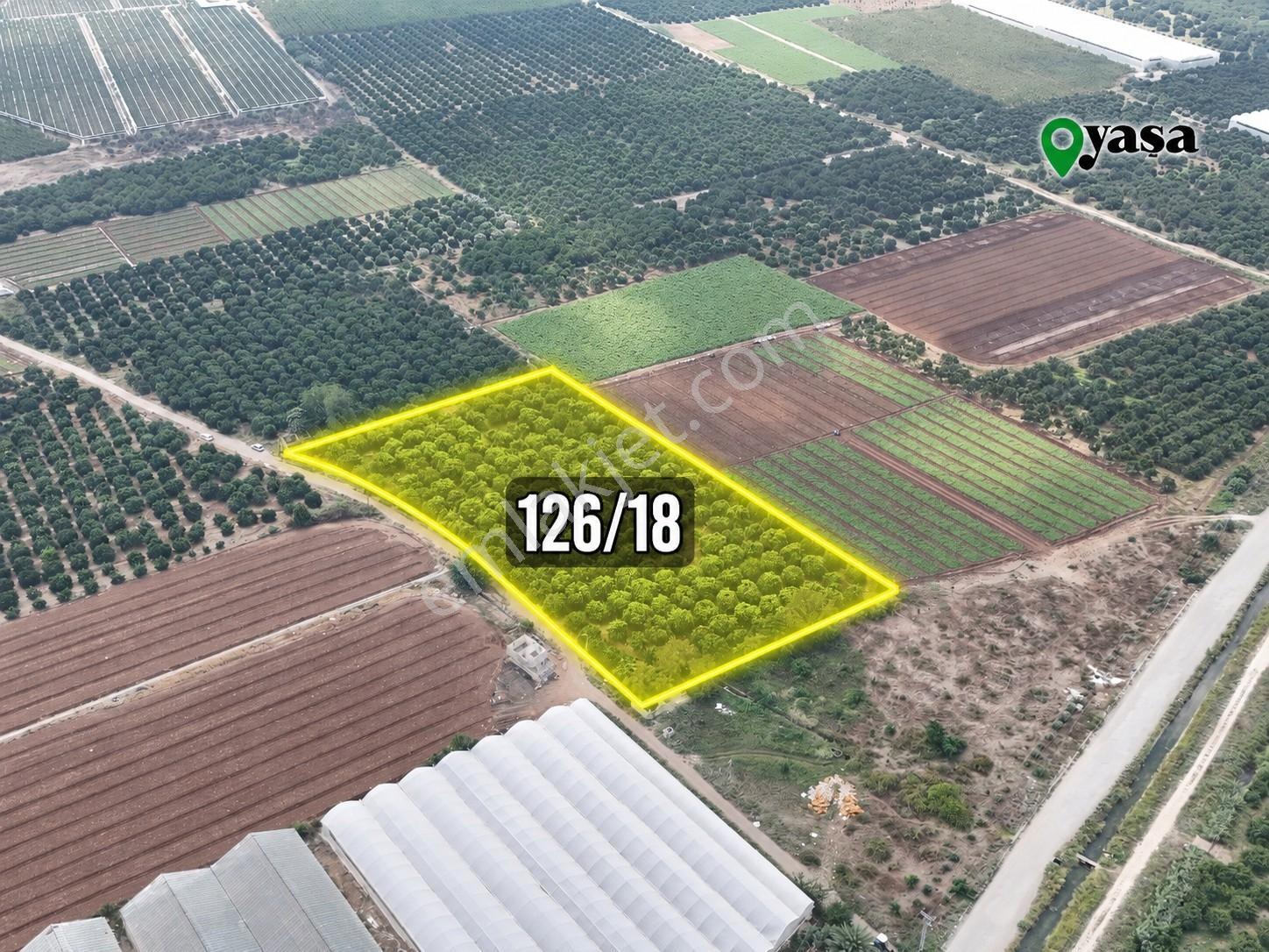 Yaşa Gyd - Bekirdede 10.763 M² Narenciye Bahçesi Lojistik Bölge — fotoğraf 4
