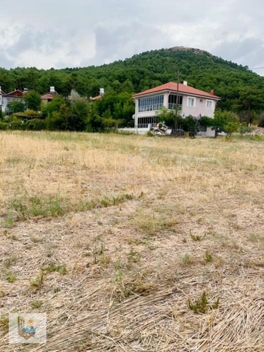 Türkiye'nin Maldivleri A.saldada | İki Yola Cepheli | 2.418 M² — fotoğraf 4