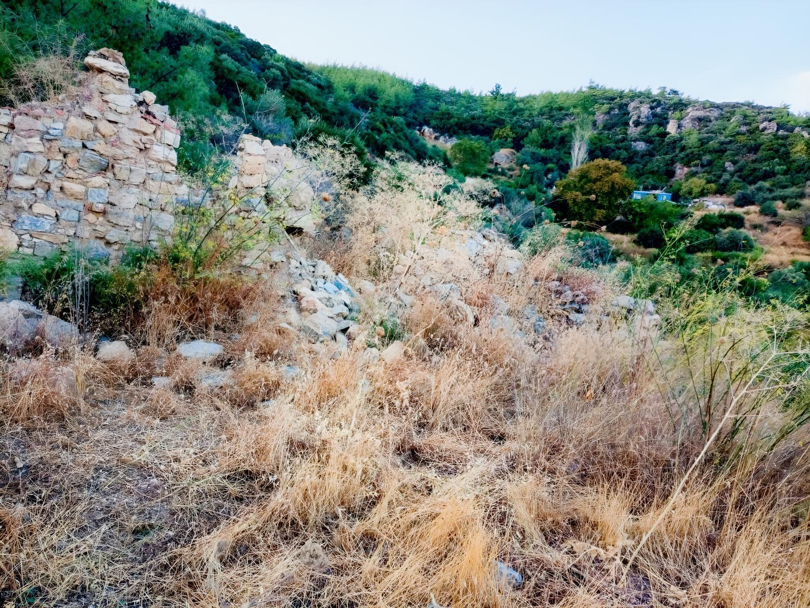 Söke Yenikent Mahallesinde 537M2 Kagir Damlı Zeytinlik