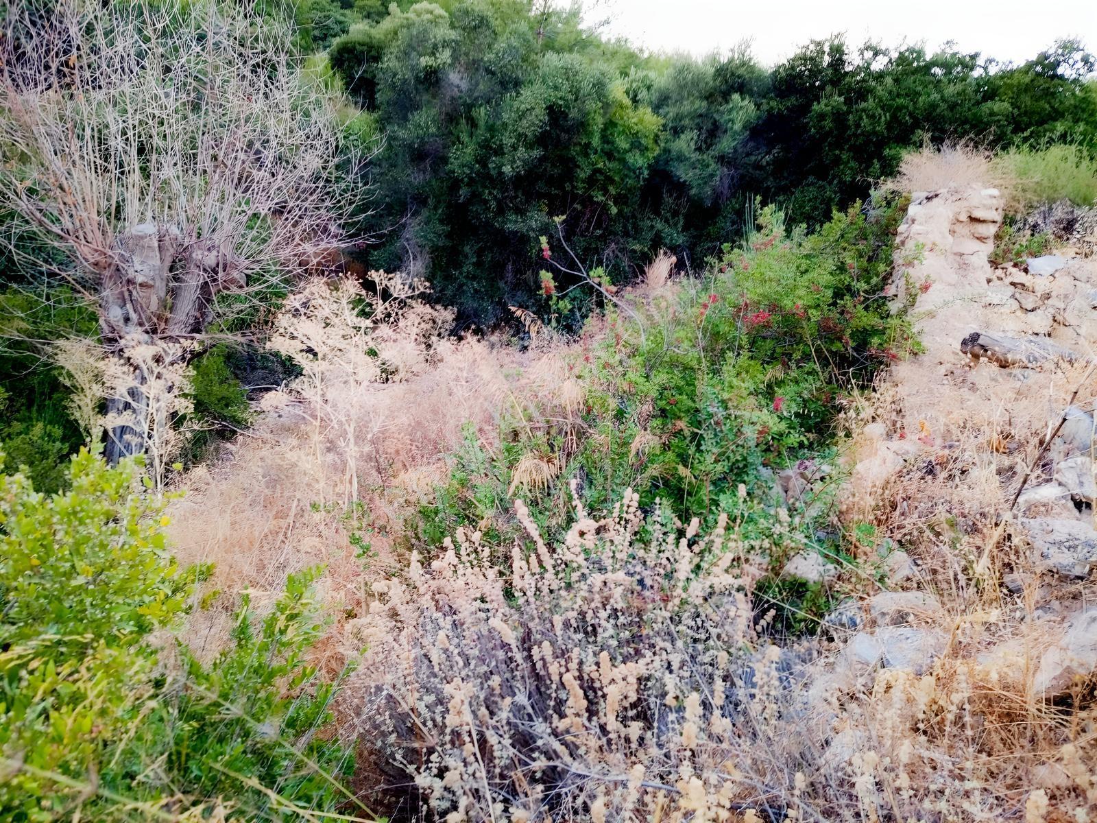 Söke Yenikent Mahallesinde 537m2 Kagir Damlı Zeytinlik — fotoğraf 2