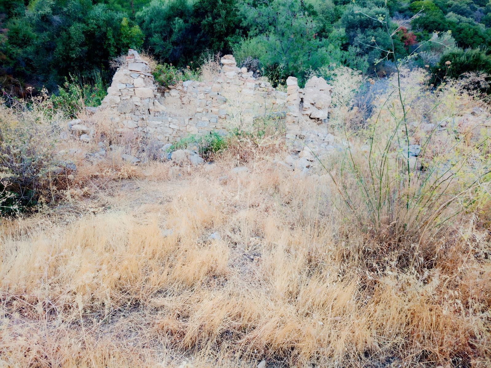 Söke Yenikent Mahallesinde 537m2 Kagir Damlı Zeytinlik — fotoğraf 3