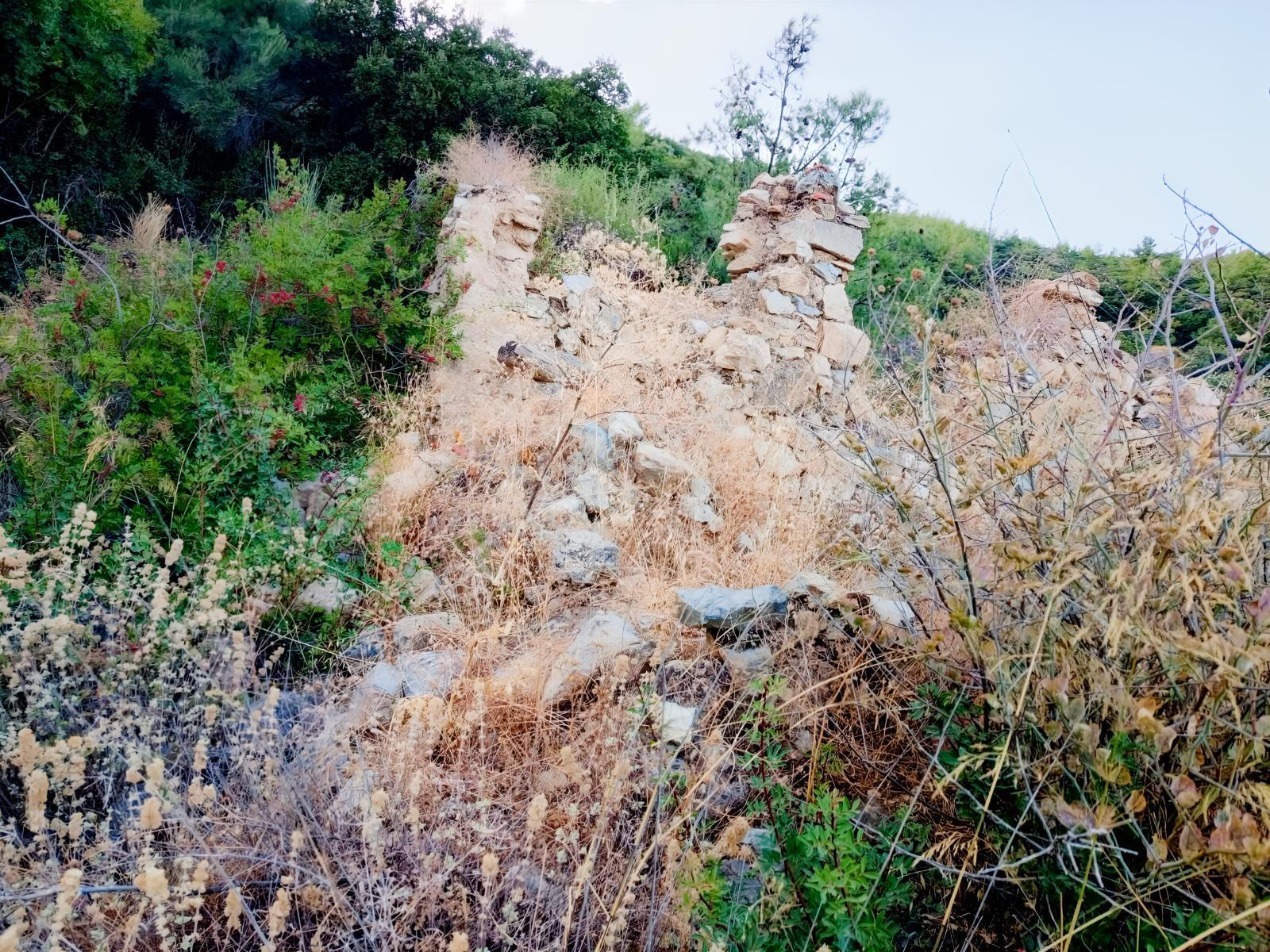 Söke Yenikent Mahallesinde 537m2 Kagir Damlı Zeytinlik — fotoğraf 4