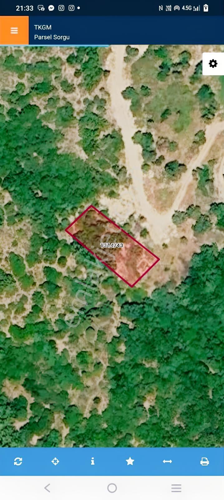 Söke Yenikent Mahallesinde 537m2 Kagir Damlı Zeytinlik — fotoğraf 5