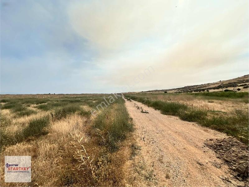 İzmir Foça Yenibağarası Elektrik Suyu Hazır 400 M2 Satılık Arsa