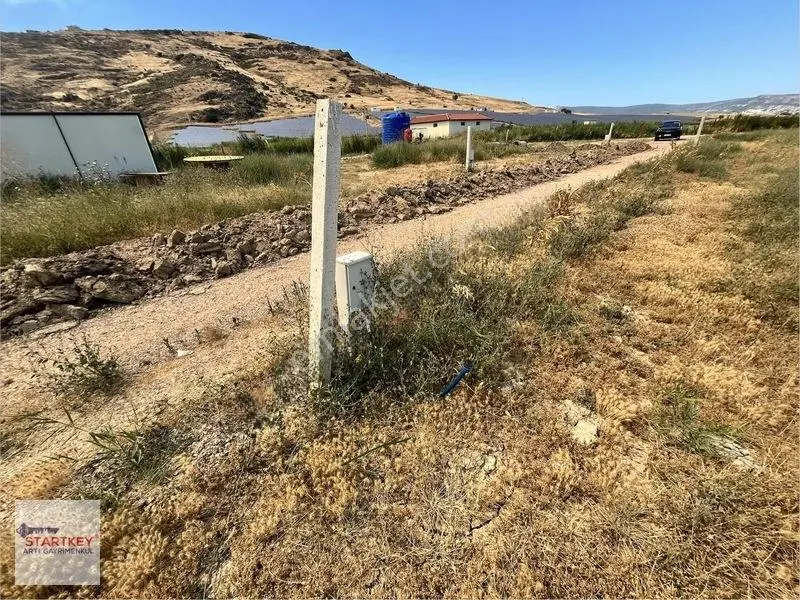 İzmir Foça Yenibağarası Elektrik Suyu Hazır 400 M2 Satılık Arsa — fotoğraf 2