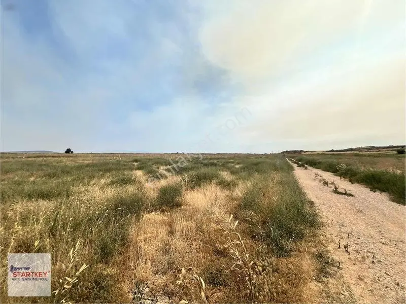 İzmir Foça Yenibağarası Elektrik Suyu Hazır 400 M2 Satılık Arsa — fotoğraf 3