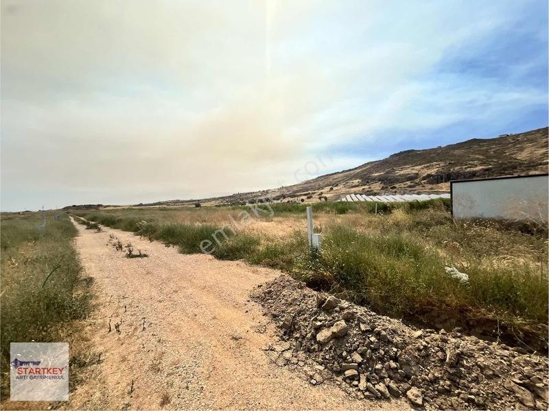İzmir Foça Yenibağarası Elektrik Suyu Hazır 400 M2 Satılık Arsa — fotoğraf 6