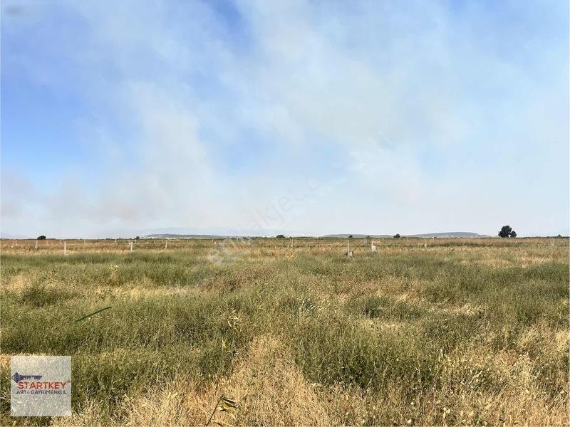 İzmir Foça Yenibağarası Elektrik Suyu Hazır 400 M2 Satılık Arsa — fotoğraf 8