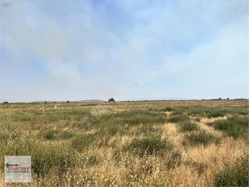 İzmir Foça Yenibağarası Elektrik Suyu Hazır 400 M2 Satılık Arsa — fotoğraf 9