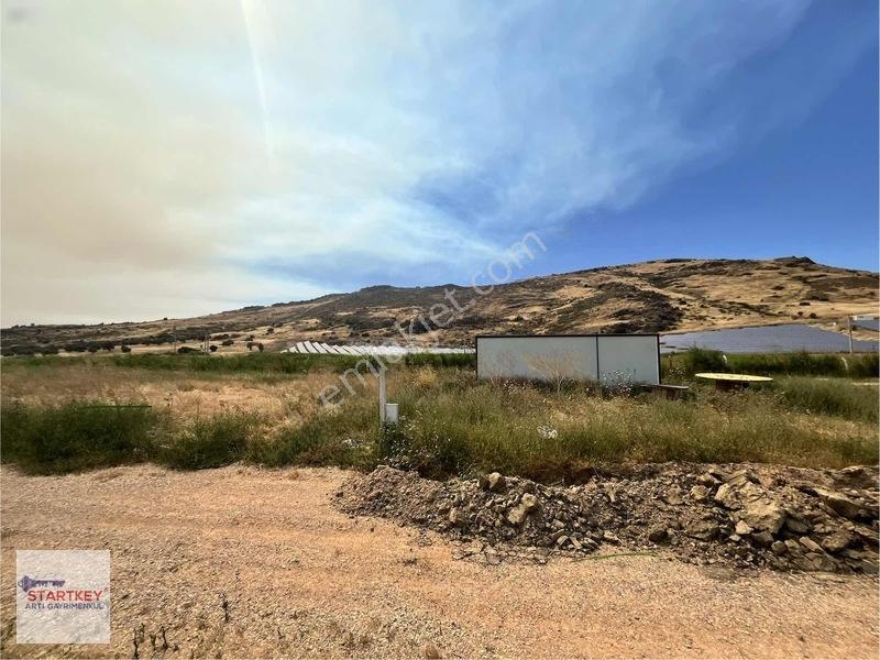 İzmir Foça Yenibağarası Elektrik Suyu Hazır 400 M2 Satılık Arsa — fotoğraf 12