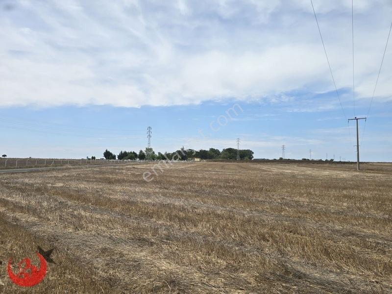 Kapaklı Uzunhacı Mahallesinde 5.832m2 Bağ Yeri — fotoğraf 2