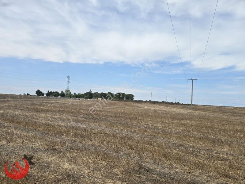 Kapaklı Uzunhacı Mahallesinde 5.832m2 Bağ Yeri — fotoğraf 3