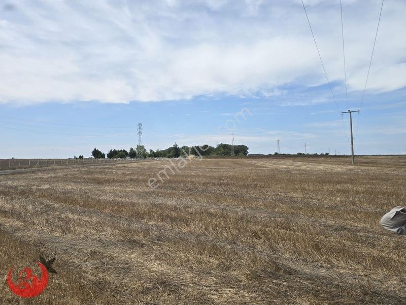Kapaklı Uzunhacı Mahallesinde 5.832m2 Bağ Yeri — fotoğraf 4
