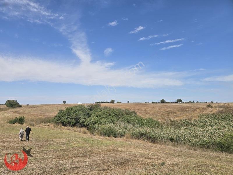 Kapaklı Uzunhacı Mahallesinde 5.832m2 Bağ Yeri — fotoğraf 7