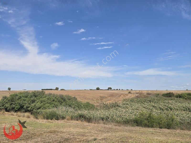 Kapaklı Uzunhacı Mahallesinde 5.832m2 Bağ Yeri — fotoğraf 8