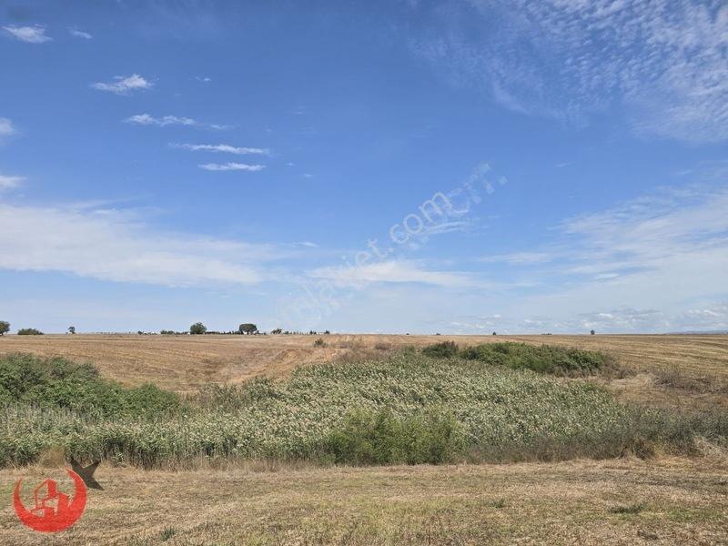 Kapaklı Uzunhacı Mahallesinde 5.832m2 Bağ Yeri — fotoğraf 9