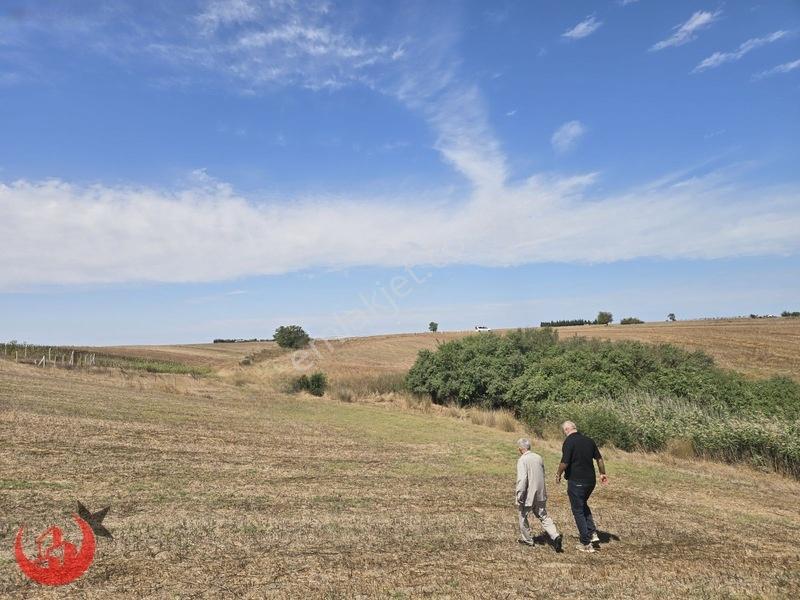 Kapaklı Uzunhacı Mahallesinde 5.832m2 Bağ Yeri — fotoğraf 14