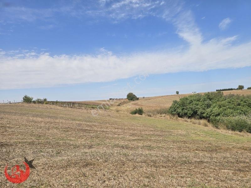 Kapaklı Uzunhacı Mahallesinde 5.832m2 Bağ Yeri — fotoğraf 15