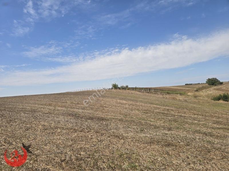Kapaklı Uzunhacı Mahallesinde 5.832m2 Bağ Yeri — fotoğraf 16