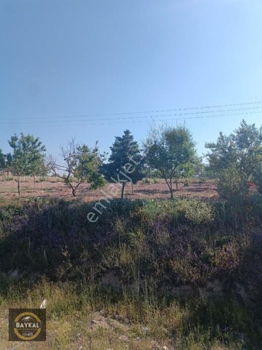 Talas Mengücekte Malatya Yoluna Yakın Yatırımlık Tek Tapu Tarla — fotoğraf 6