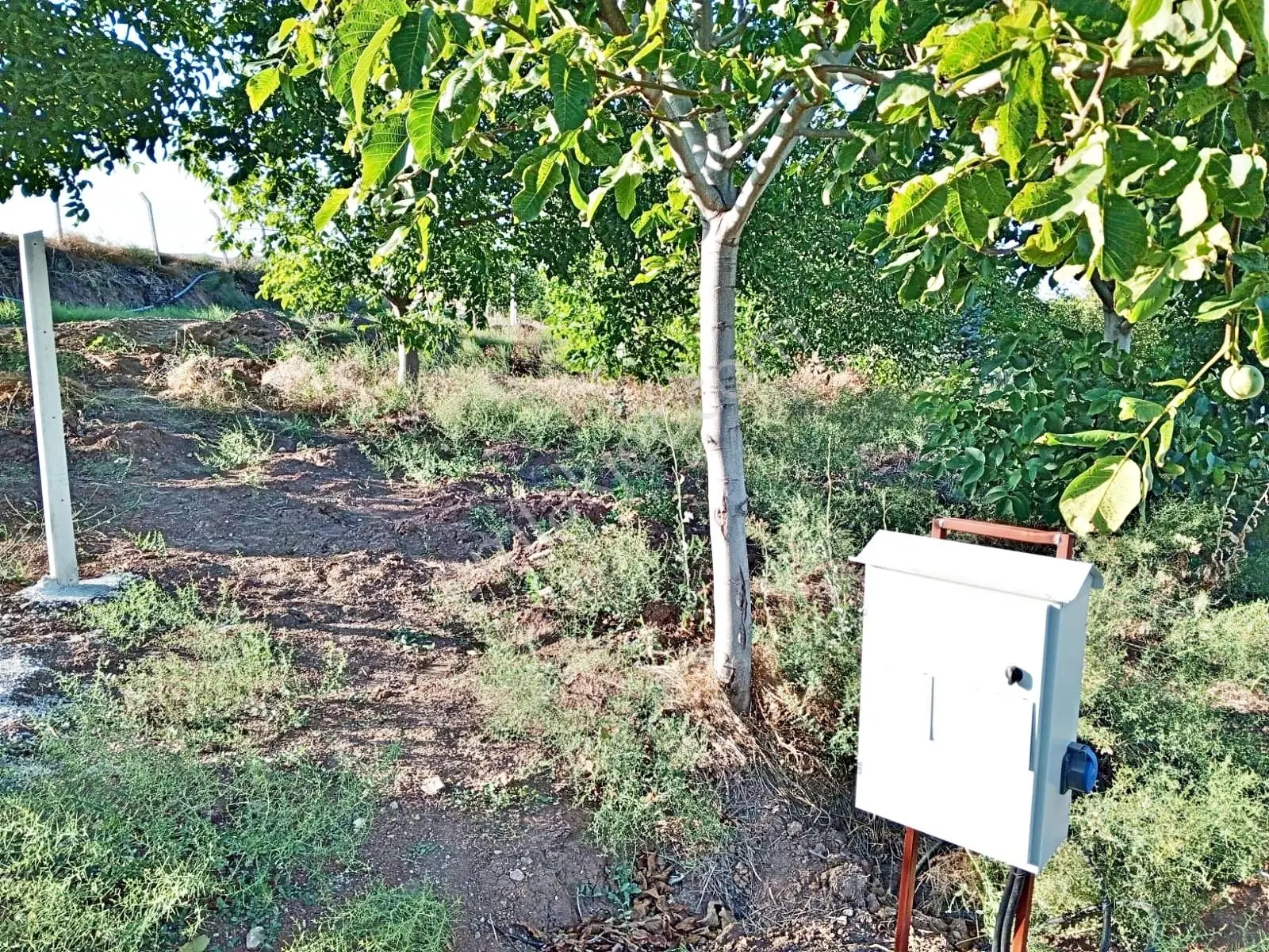 Gölbaşı Karaalide Çevrili Eletrik-su Acil Satılık 250m2 Kop. His