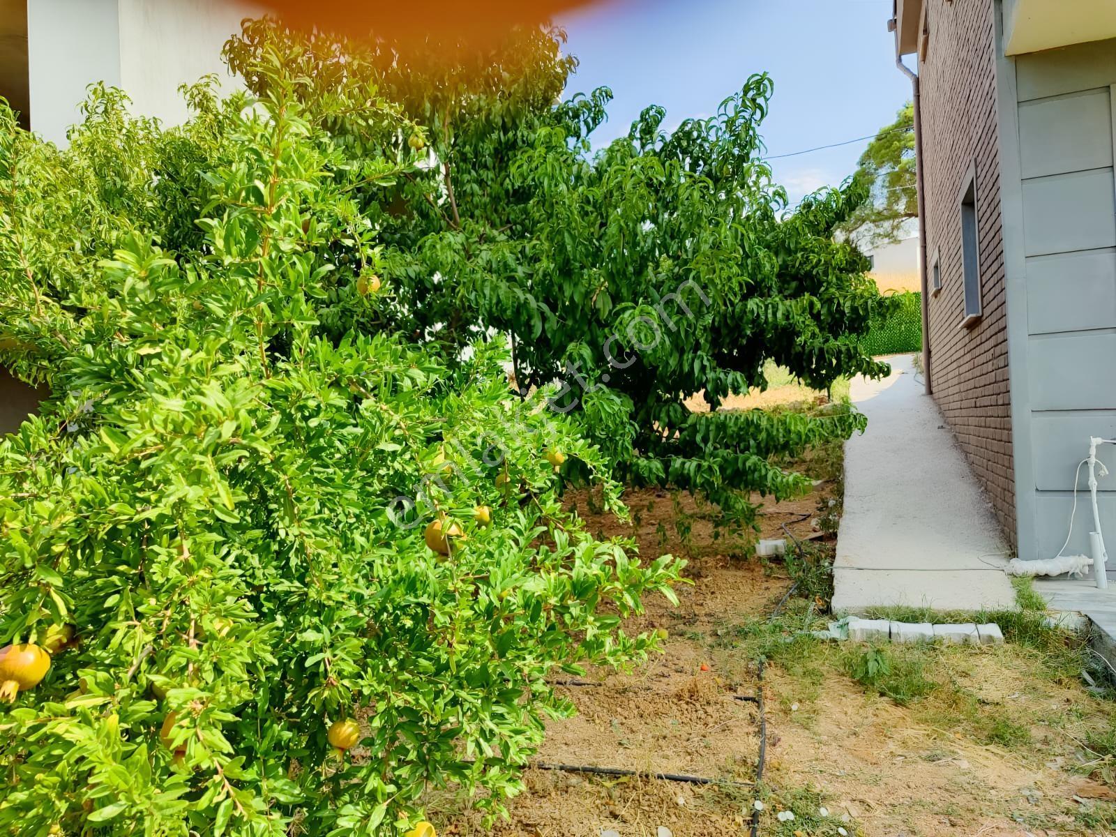 İzmir'im Gayrimenkul'den Satılık Villa — fotoğraf 17