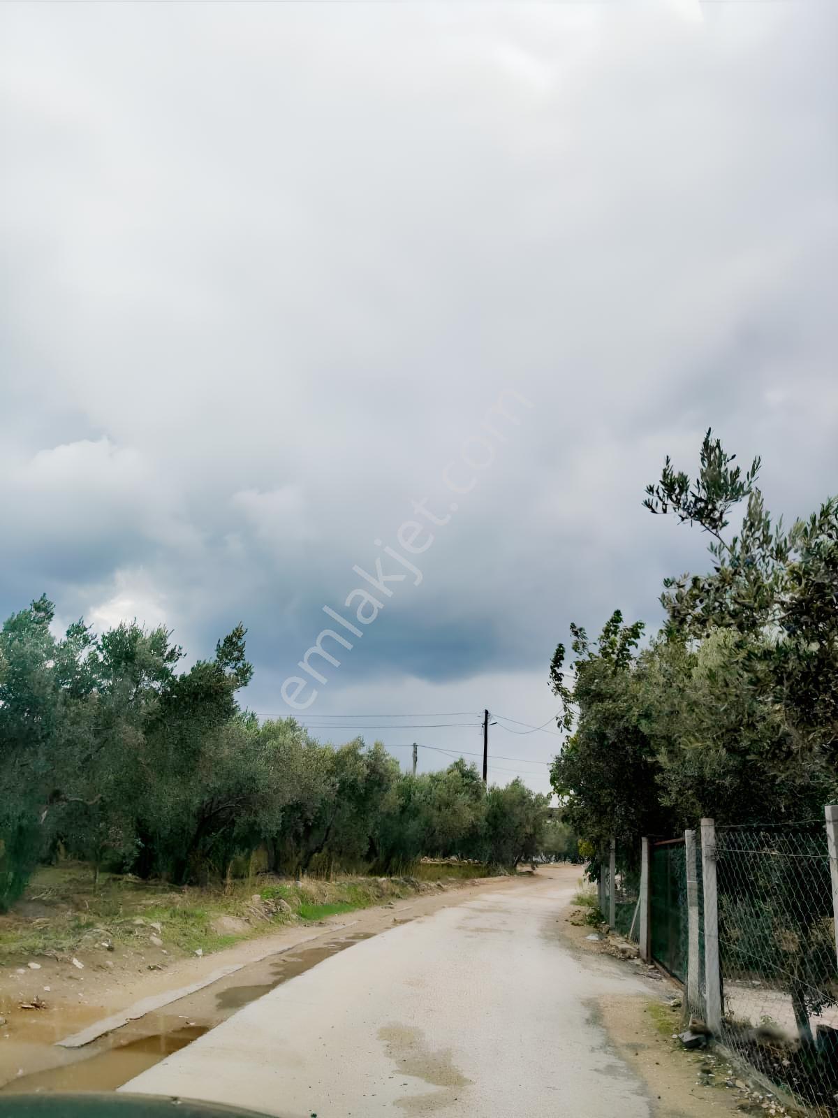 Se&as Exclusıve:erdek Yukarı Yapıcıda Deniz Manzaralı 3 Arazi — fotoğraf 2