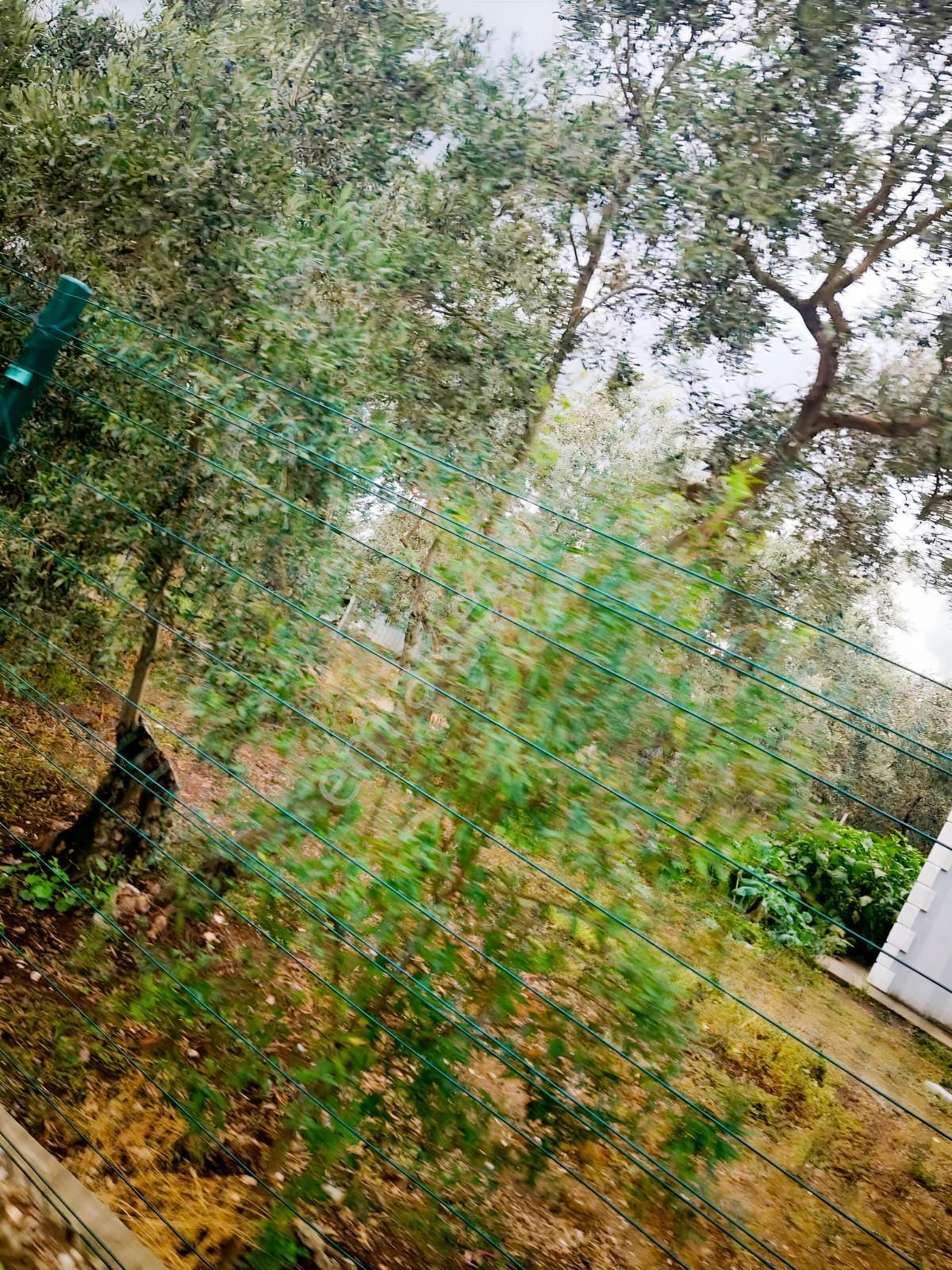 Se&as Exclusıve:erdek Yukarı Yapıcıda Deniz Manzaralı 3 Arazi — fotoğraf 3