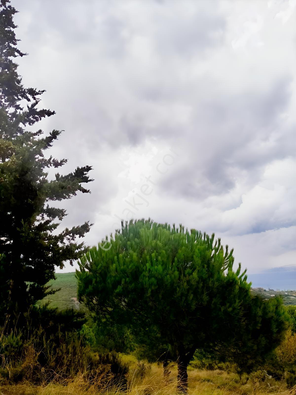 Se&as Exclusıve:erdek Yukarı Yapıcıda Deniz Manzaralı 3 Arazi — fotoğraf 4