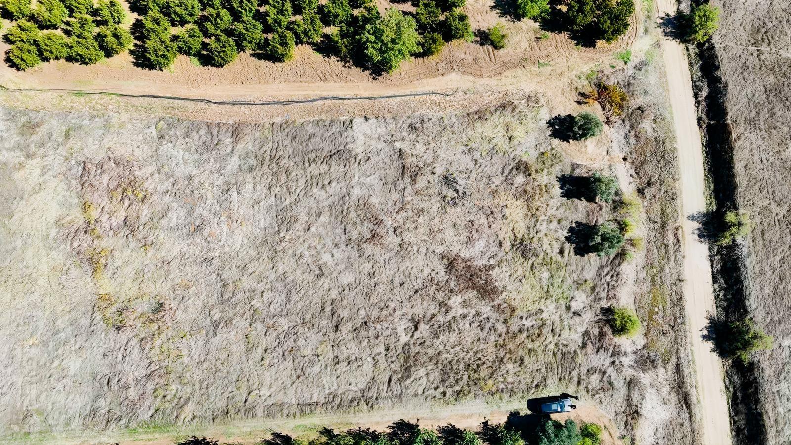 Sakarya Pamukova Eğriçay Fırsat Tarım Arazisi — fotoğraf 2