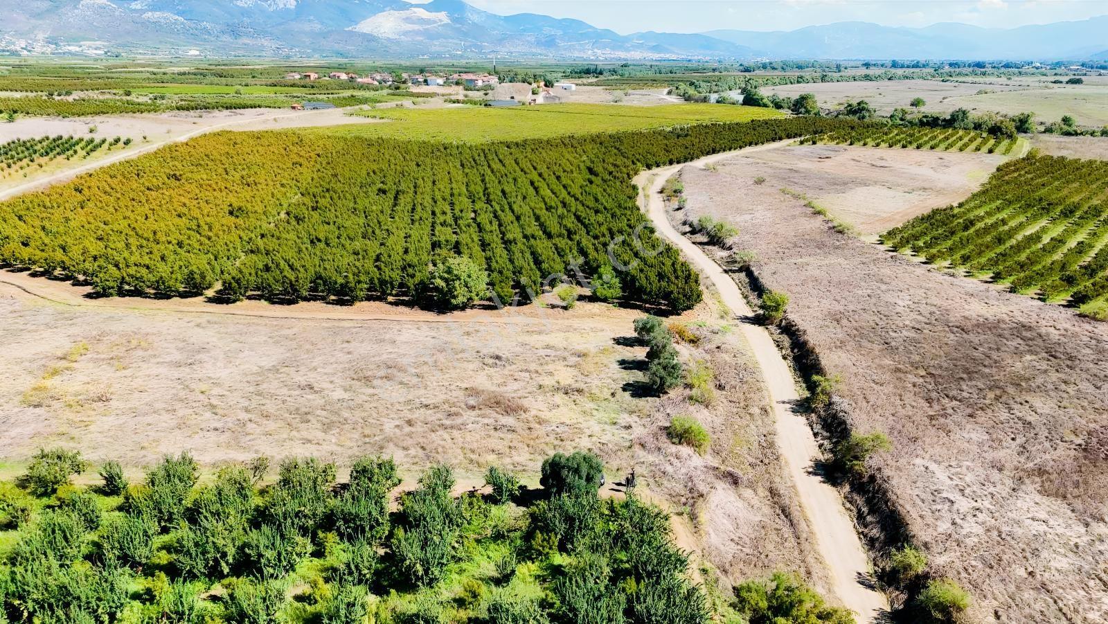 Sakarya Pamukova Eğriçay Fırsat Tarım Arazisi — fotoğraf 3