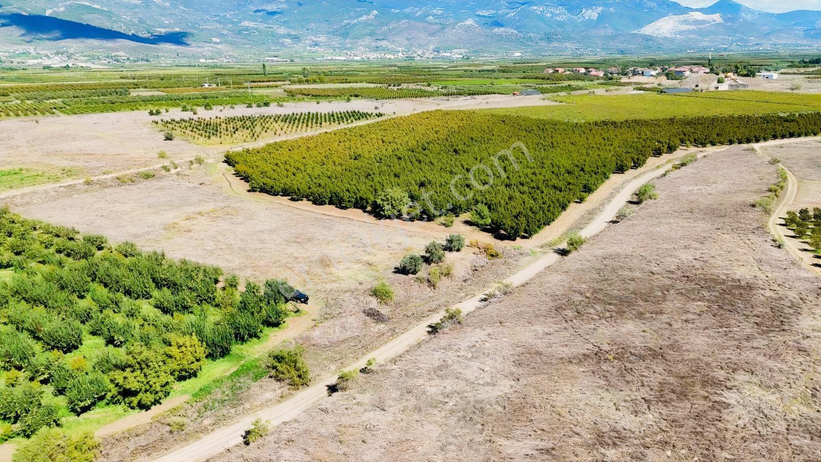Sakarya Pamukova Eğriçay Fırsat Tarım Arazisi — fotoğraf 4
