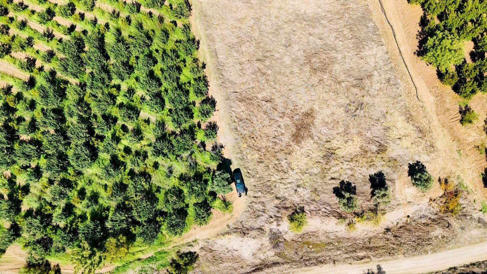 Sakarya Pamukova Eğriçay Fırsat Tarım Arazisi — fotoğraf 5