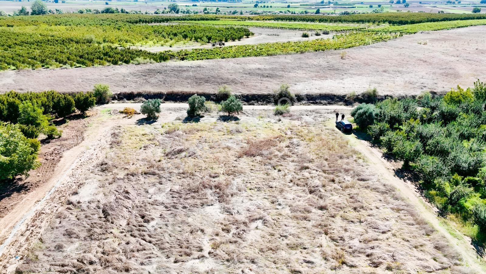 Sakarya Pamukova Eğriçay Fırsat Tarım Arazisi — fotoğraf 7