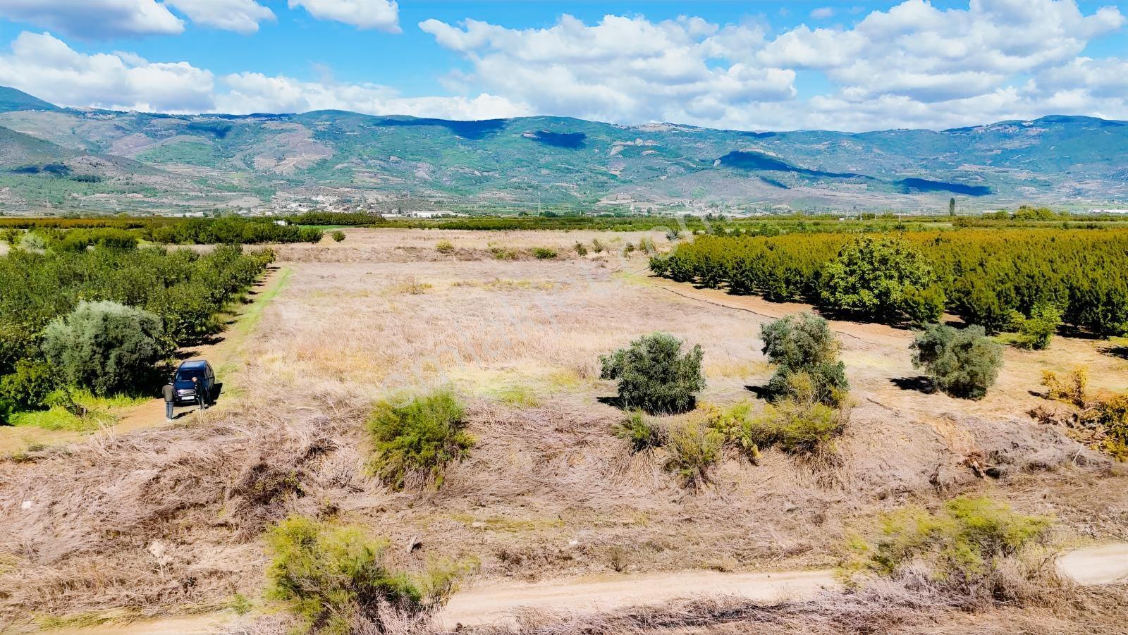Sakarya Pamukova Eğriçay Fırsat Tarım Arazisi — fotoğraf 13