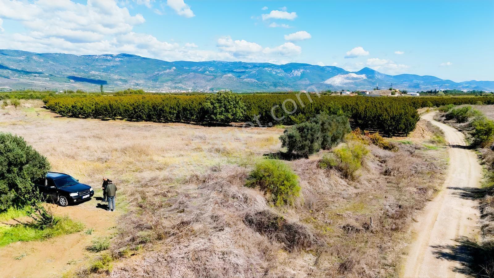 Sakarya Pamukova Eğriçay Fırsat Tarım Arazisi — fotoğraf 14