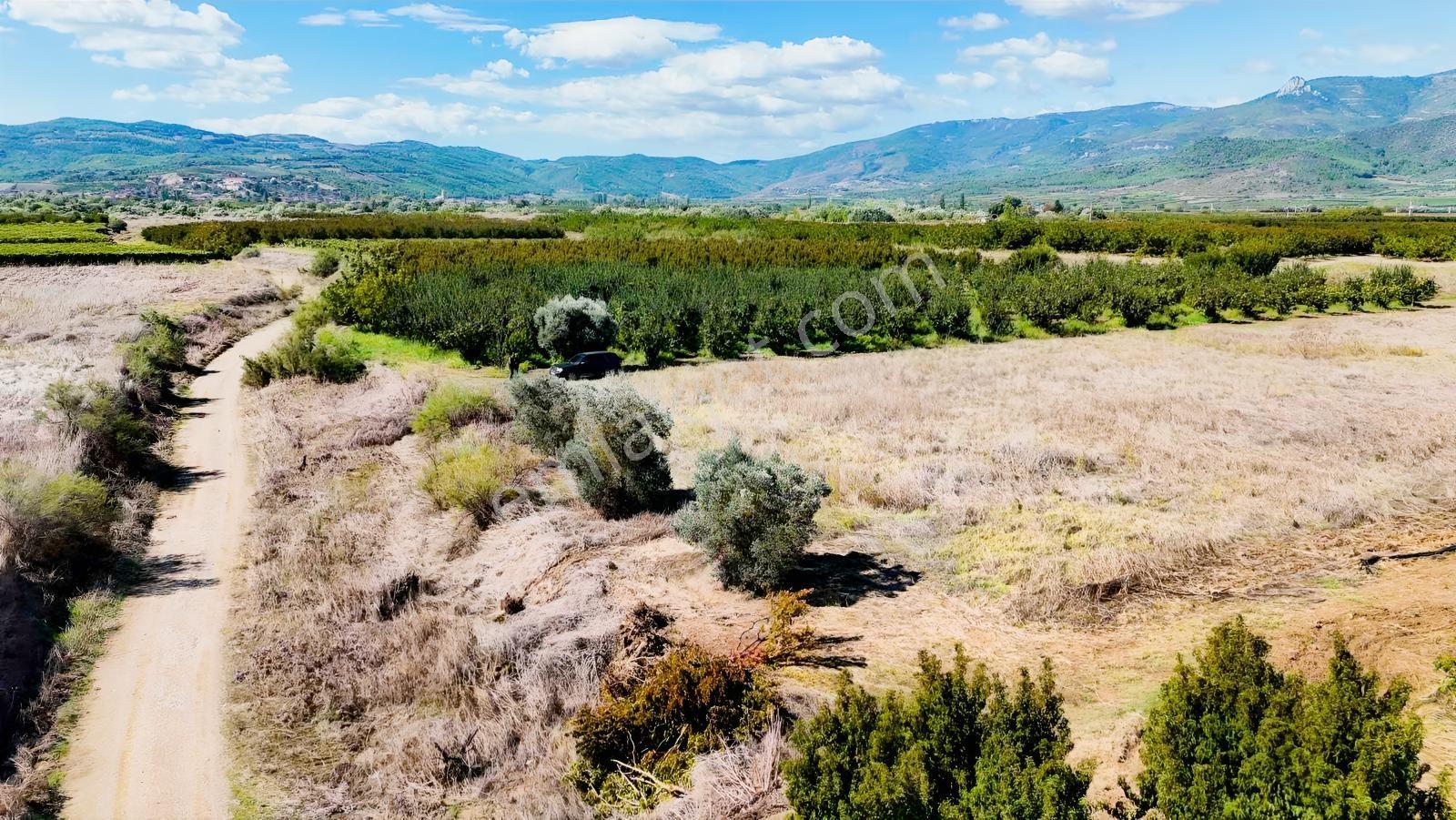 Sakarya Pamukova Eğriçay Fırsat Tarım Arazisi — fotoğraf 15