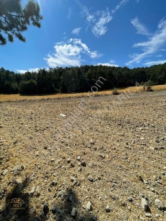 Bolu Munduşlarda Yatırımlık 15.944M2 Yola Cephe Tarla