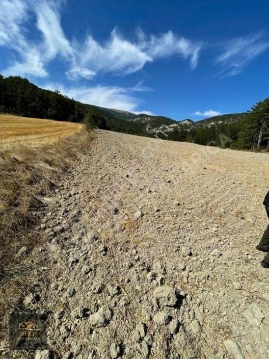 Bolu Munduşlarda Yatırımlık 15.944m2 Yola Cephe Tarla — fotoğraf 2