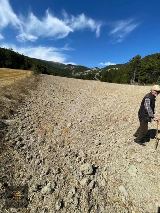 Bolu Munduşlarda Yatırımlık 15.944m2 Yola Cephe Tarla — fotoğraf 3