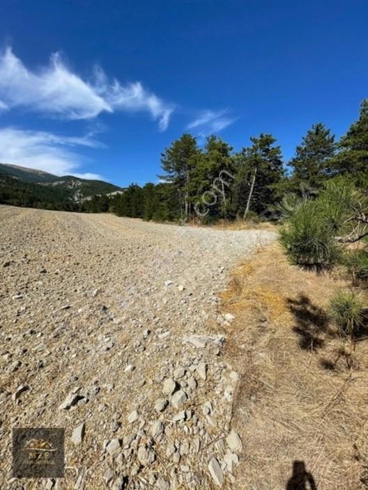 Bolu Munduşlarda Yatırımlık 15.944m2 Yola Cephe Tarla — fotoğraf 5