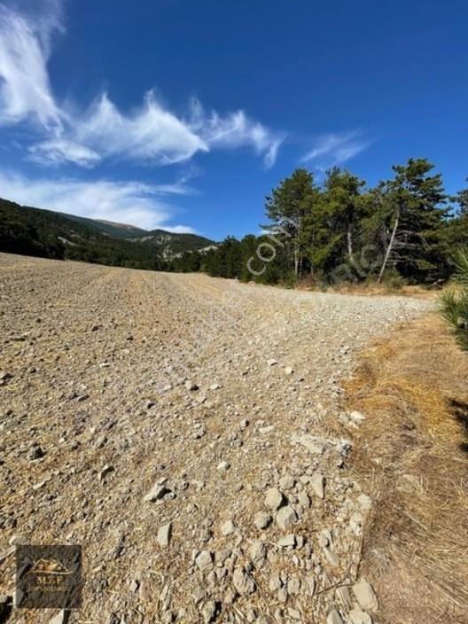 Bolu Munduşlarda Yatırımlık 15.944m2 Yola Cephe Tarla — fotoğraf 6