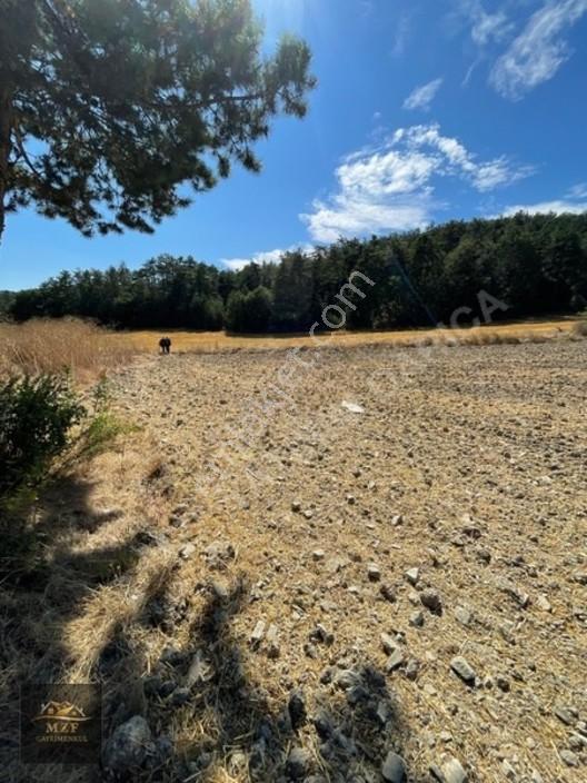 Bolu Munduşlarda Yatırımlık 15.944m2 Yola Cephe Tarla — fotoğraf 7