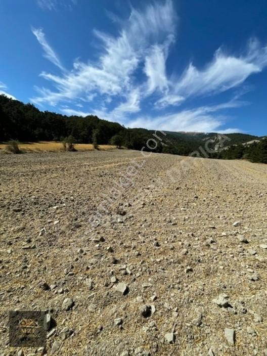 Bolu Munduşlarda Yatırımlık 15.944m2 Yola Cephe Tarla — fotoğraf 8