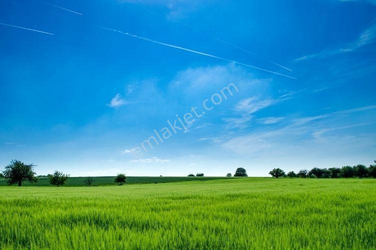 Kandıra Döngelli ' De Satılık 622 M2 Tarla