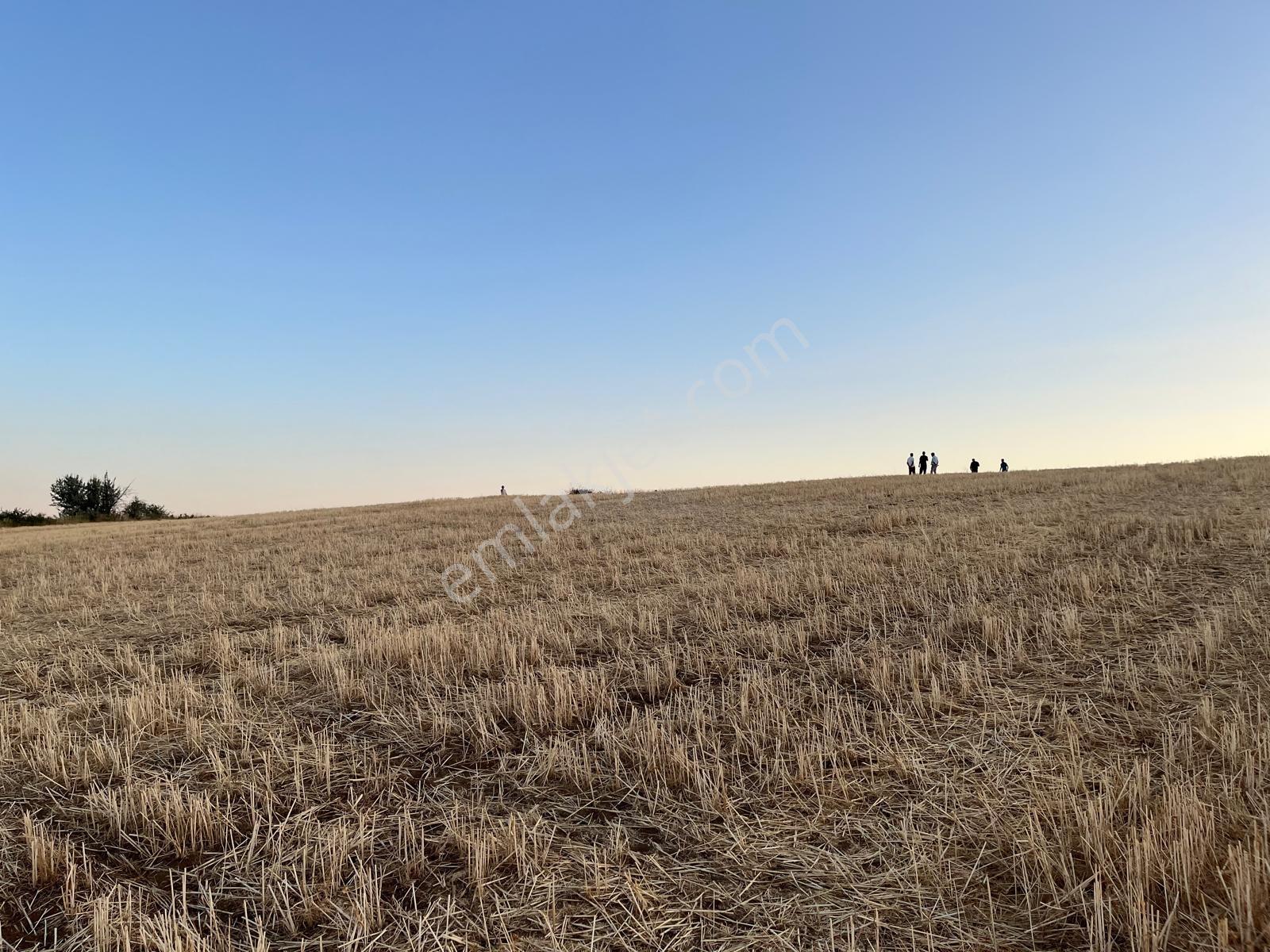 Yenimahalle Memlik Ankara Manzrl. Acil Satılık 250m2 Kop.hissesi — fotoğraf 12