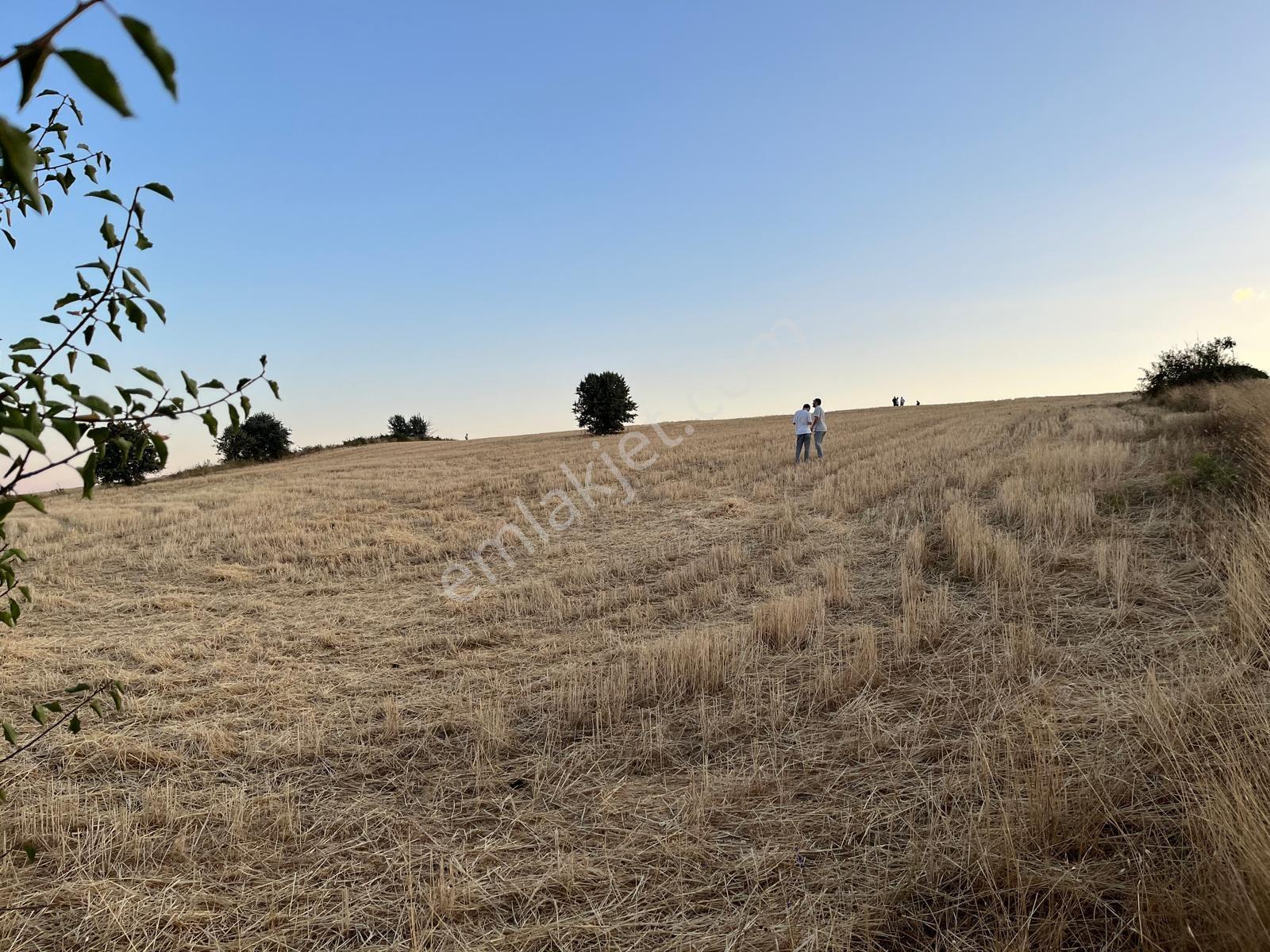 Yenimahalle Memlik Ankara Manzrl. Acil Satılık 250m2 Kop.hissesi — fotoğraf 13